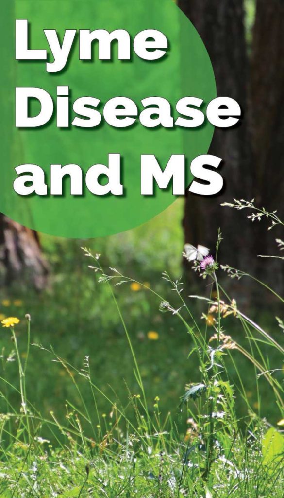 Wildflowers with a green bubble and text: Lyme Disease and MS