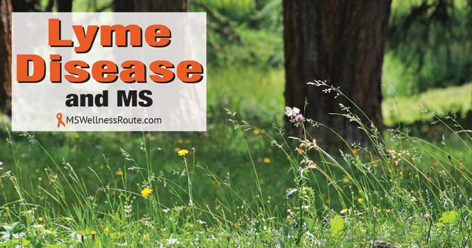 Wildflowers in a forest with overlay: Lyme Disease and MS