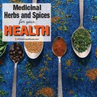 Spoons on blue table holding herbs with overlay: Medicinal Herbs and Spices for Your Health