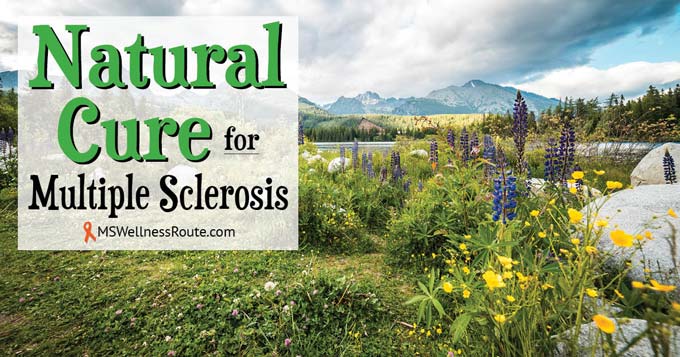 A field of wildflowers in the mountains with overlay: Natural Cure for Multiple Sclerosis