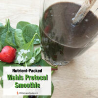 Smoothie with leafy greens and berries with overlay: Nutrient-Packed Wahls Protocol Smoothie.