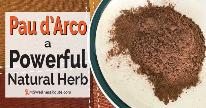 Pau d'arco powder on a plate with overlay: Pau d'Arco at Powerful Natural Herb