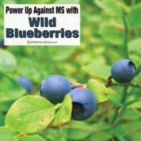 Wild blueberry bush with overlay: Power Up Against MS with Wild Blueberries