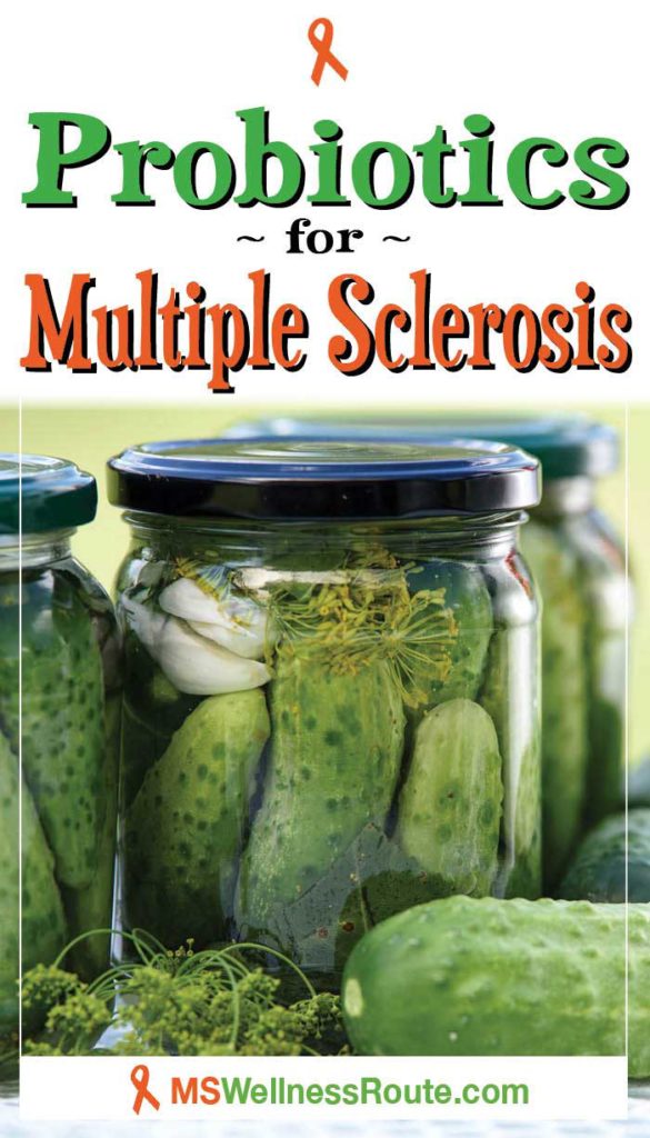 Finding Probiotics For Multiple Sclerosis Ms Wellness Route 6593