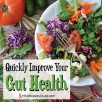 Quickly Improve Your Gut Health