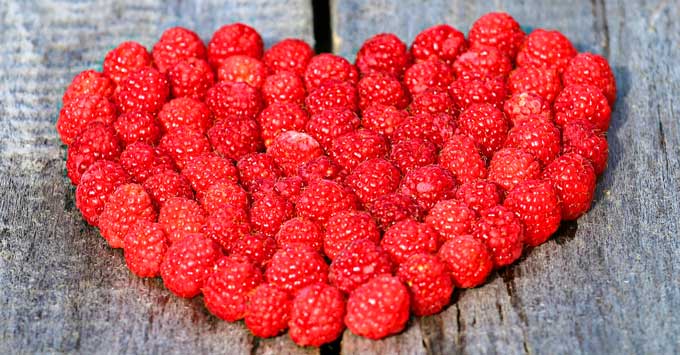 Raspberries group together to form a heart.