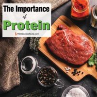 A slab of steak on a cutting board with overlay: The Importance of Protein