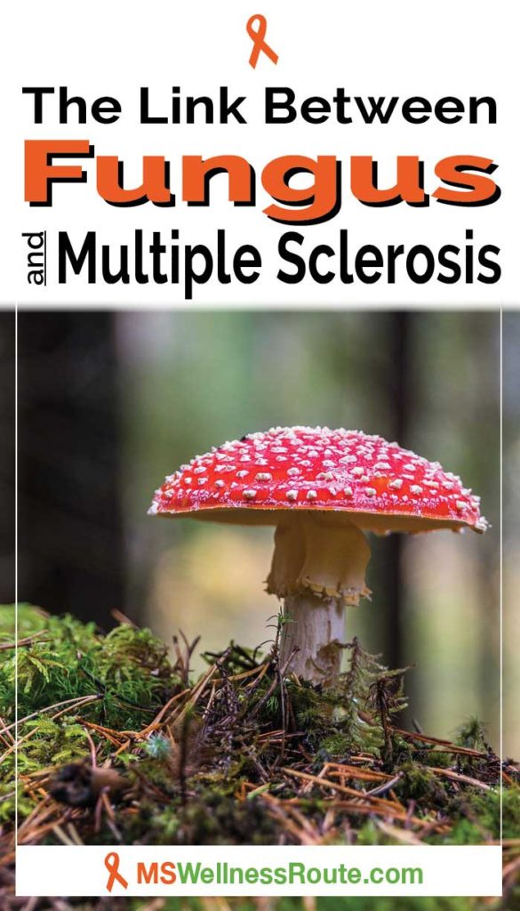 Red capped mushroom and words saying The Link Between Fungus and Multiple Sclerosis.