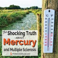 A ditch flowing with water and a thermometer on fence post with overlay: The Shocking Truth about Mercury and MS