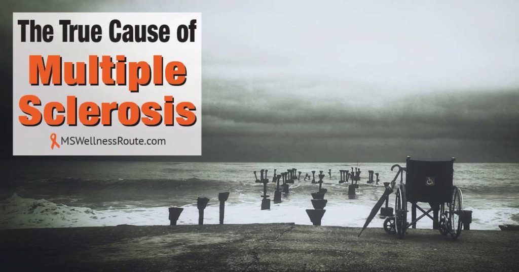 Wheelchair on beach overlooking ocean with overlay: The True Cause of Multiple Sclerosis