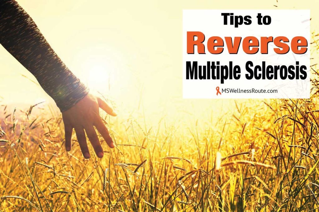 Woman's hand in meadow facing sunset with overlay: Tips to Reverse MS