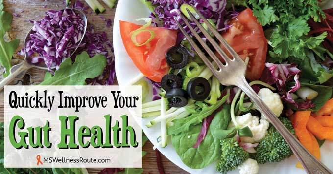 Quickly Improve Your Gut Health