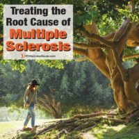 Woman walking on roots of a tree with overlay: Treating the Root Causes of MS