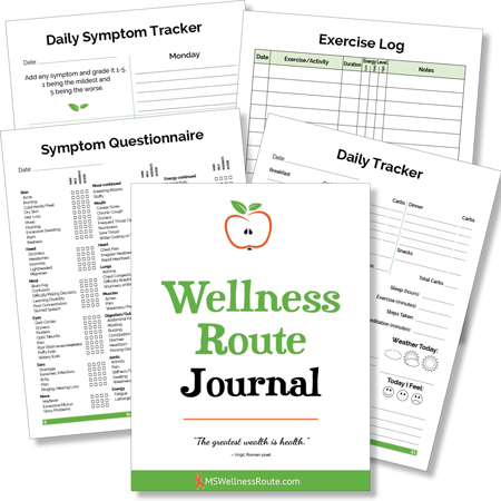 Wellness Route Journal