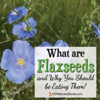 What are Flaxseeds and Why You Should Be Eating Them!