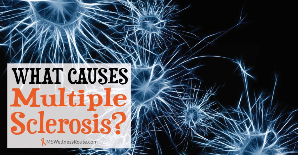 What Causes MS? - MS Wellness Route