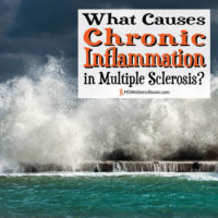 What causes chronic inflammation in MS?