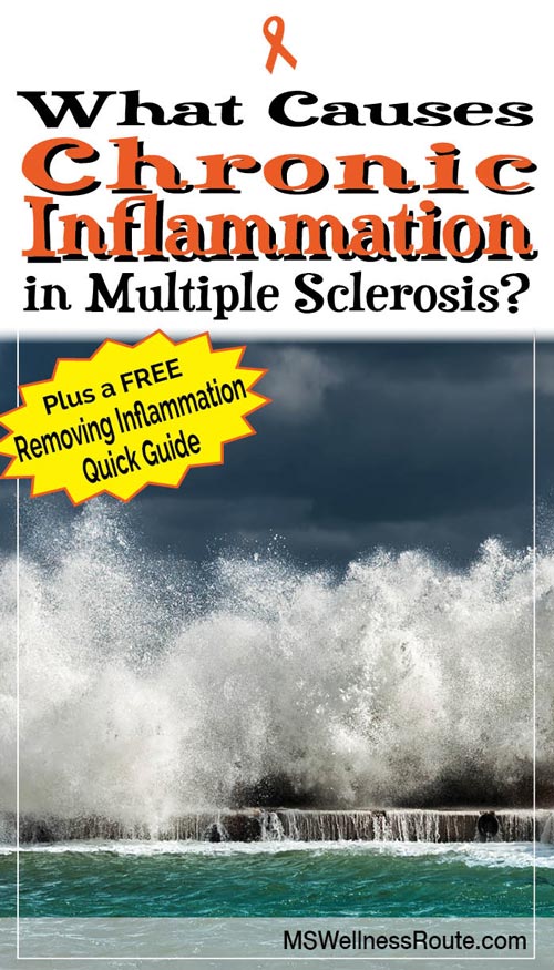 Learn how to remove chronic inflammation to stop the progression of multiple sclerosis. Plus, a FREE GUIDE to reduce inflammation.