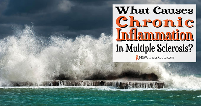 What causes chronic inflammation in MS?