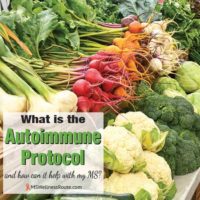 Many different vegetables with overlay: What is the Autoimmune Protocol