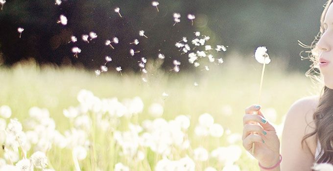 Woman blowing on dandelion with puffs drifting away.