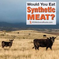 Black cows on mountain range with overlay: Would you eat synthetic meat?