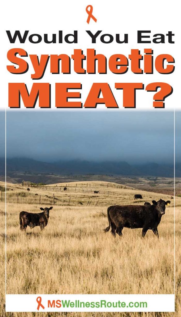 Black cows on base of mountain range with headline: Would you eat synthetic meat?