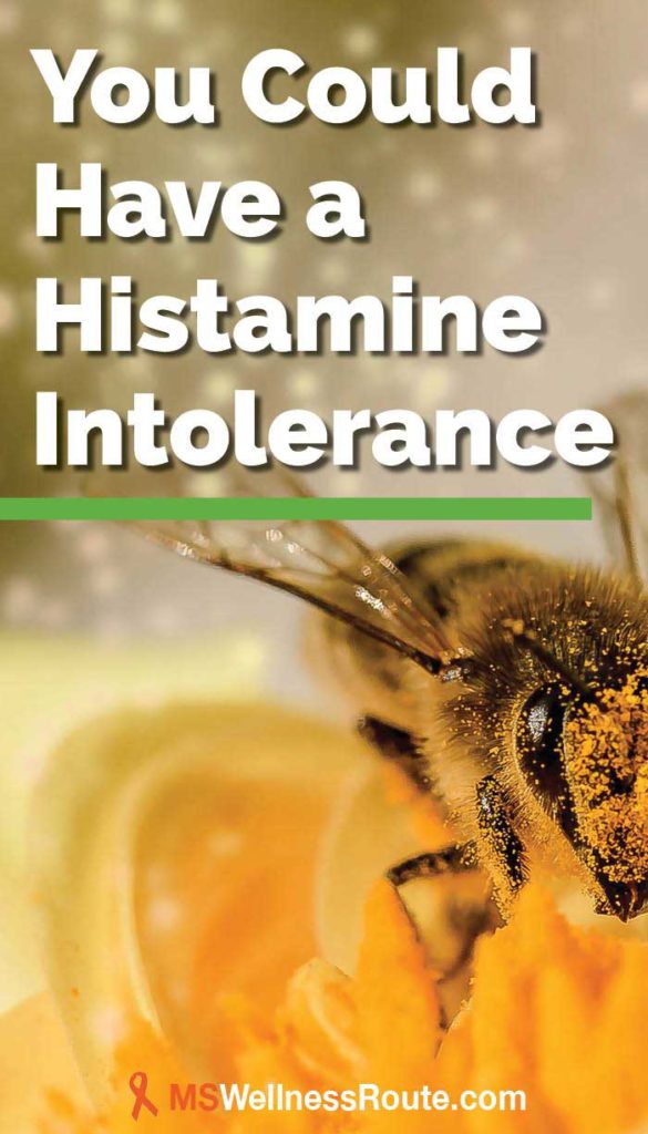 Learn everything you need to know about histamine intolerance! | #wellnesstips #holistichealing