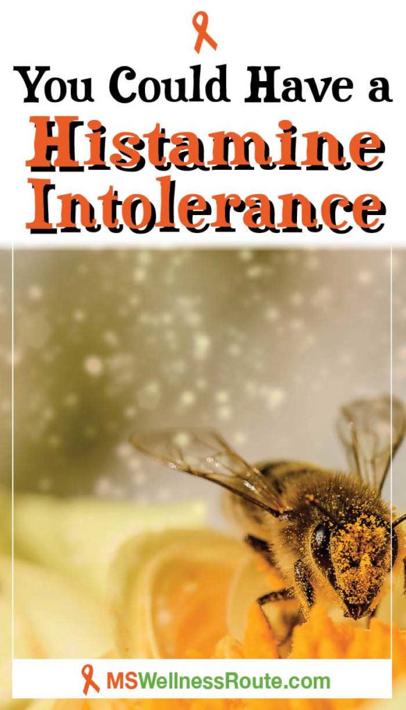 Are you suffering from a histamine intolerance? Learn what it is and how to recover. | #histamineintolerance