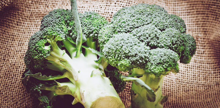 Two broccoli florets on burlap.