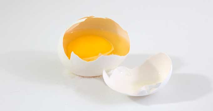 A broken egg