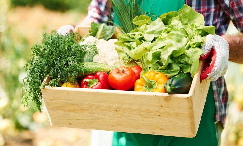 Close up of man carrying a box of fruits and vegetables.