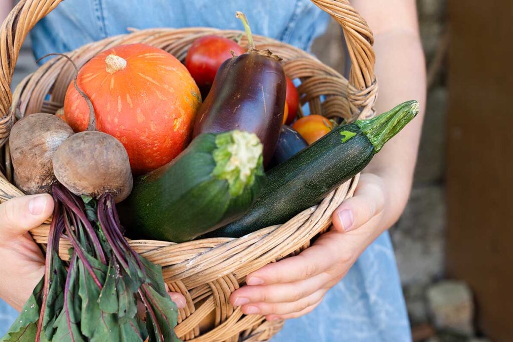 Close-up hands holding basket with vegetables.