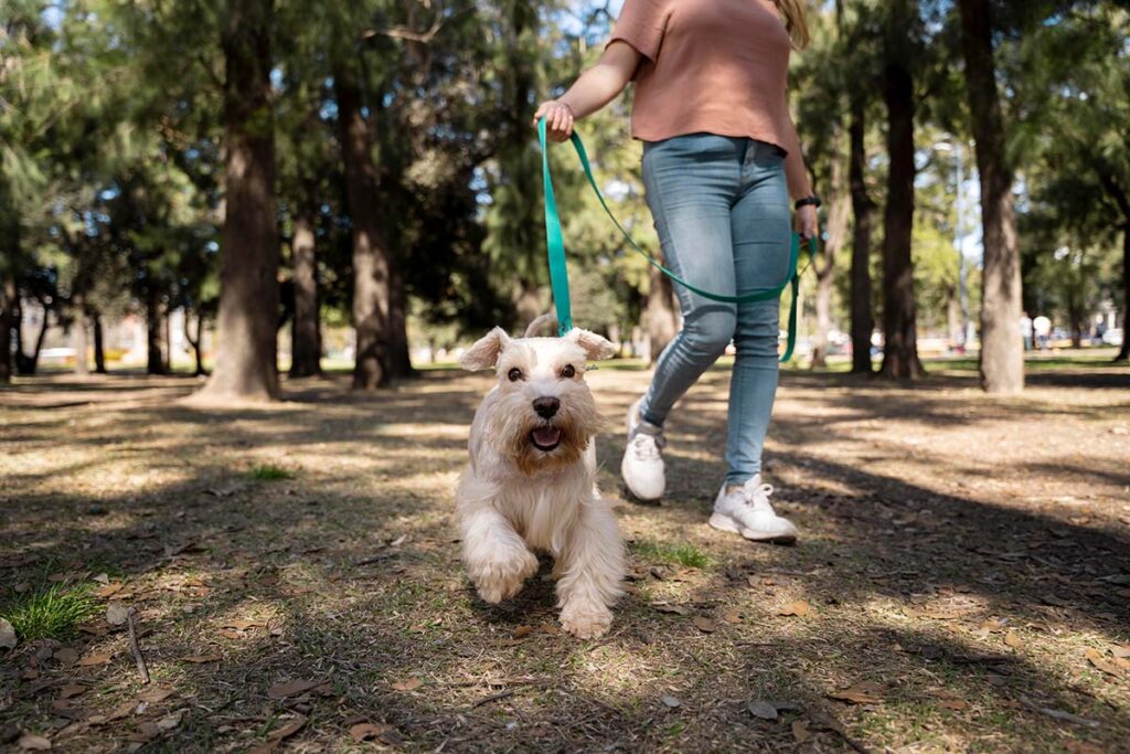 Close up of woman walking dog.