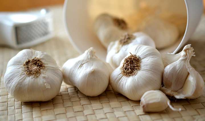 Several garlic bulbs.