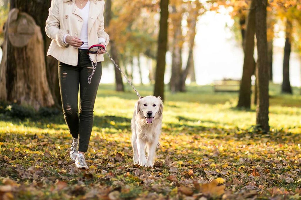 Young woman walking in a park with her dog.