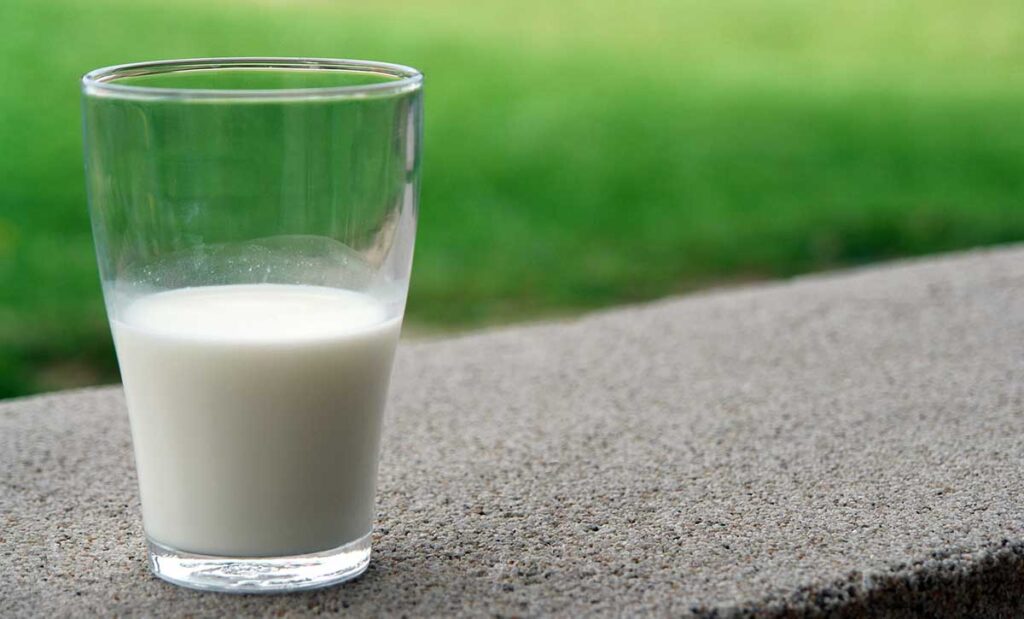 Half glass of milk outdoors on concrete wall and grassy background.