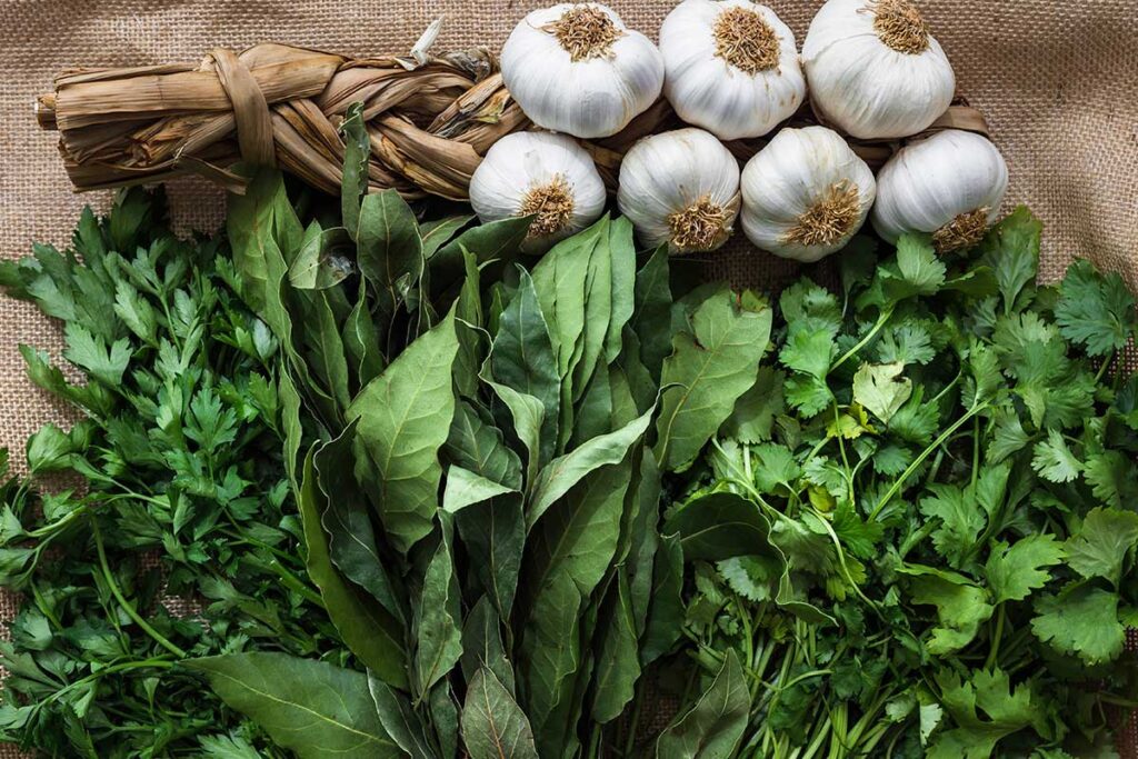 Herbs and garlic on burlap.