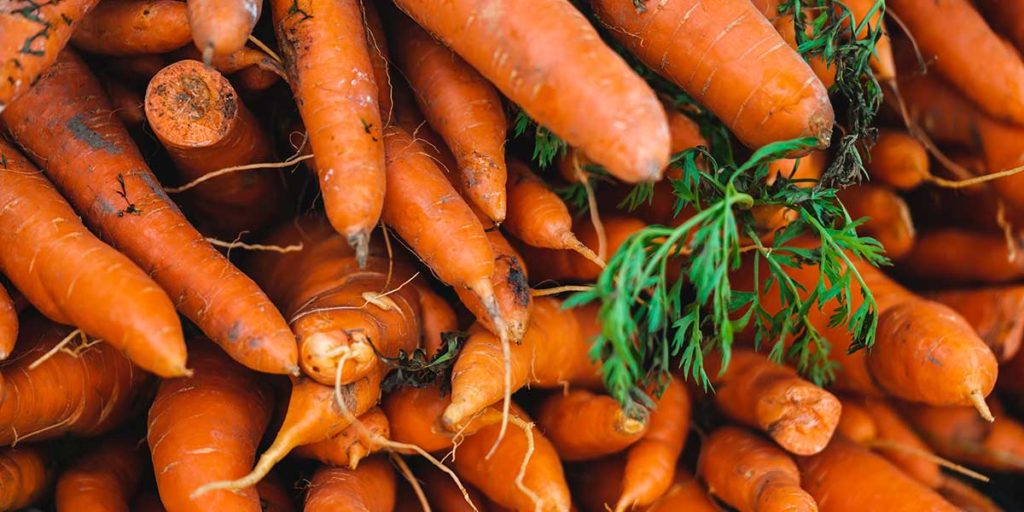 Close up of a pile of carrots.