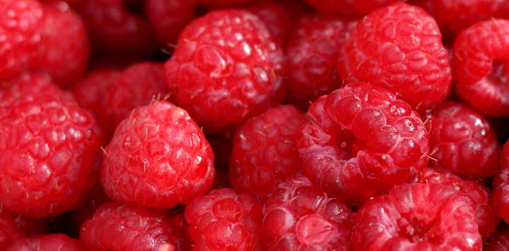 Closeup of raspberries.