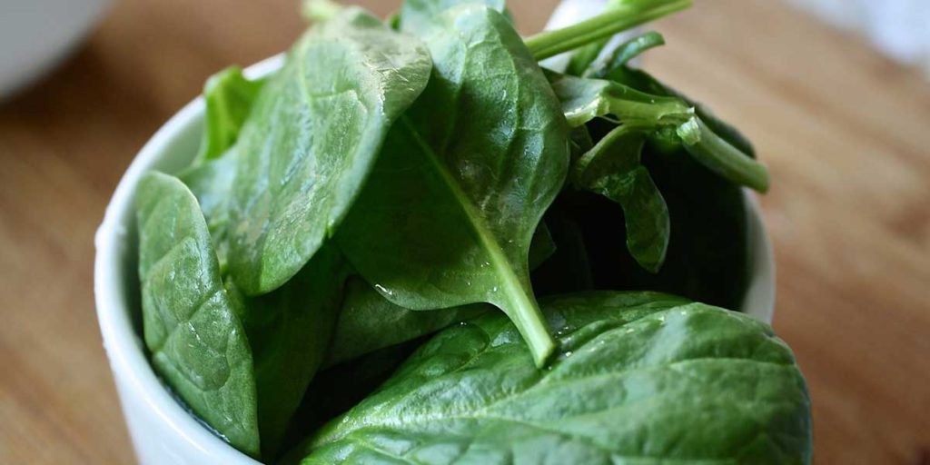 Spinach in a white bowl.