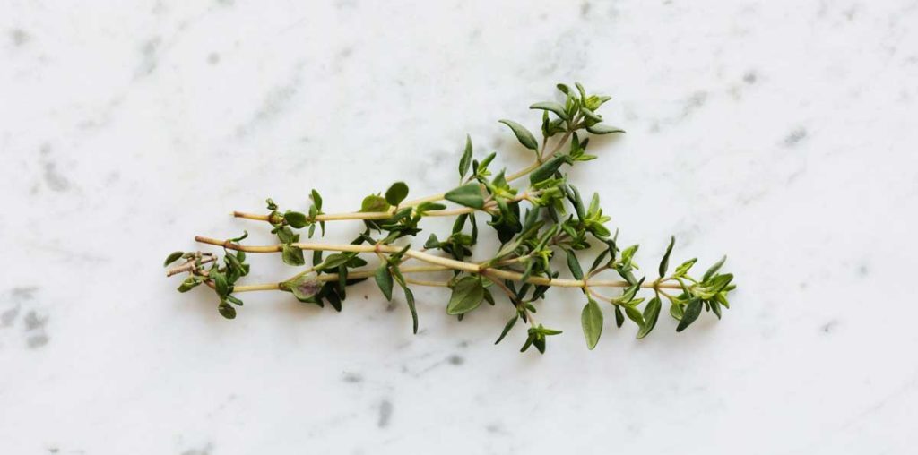 Sprigs of thyme.