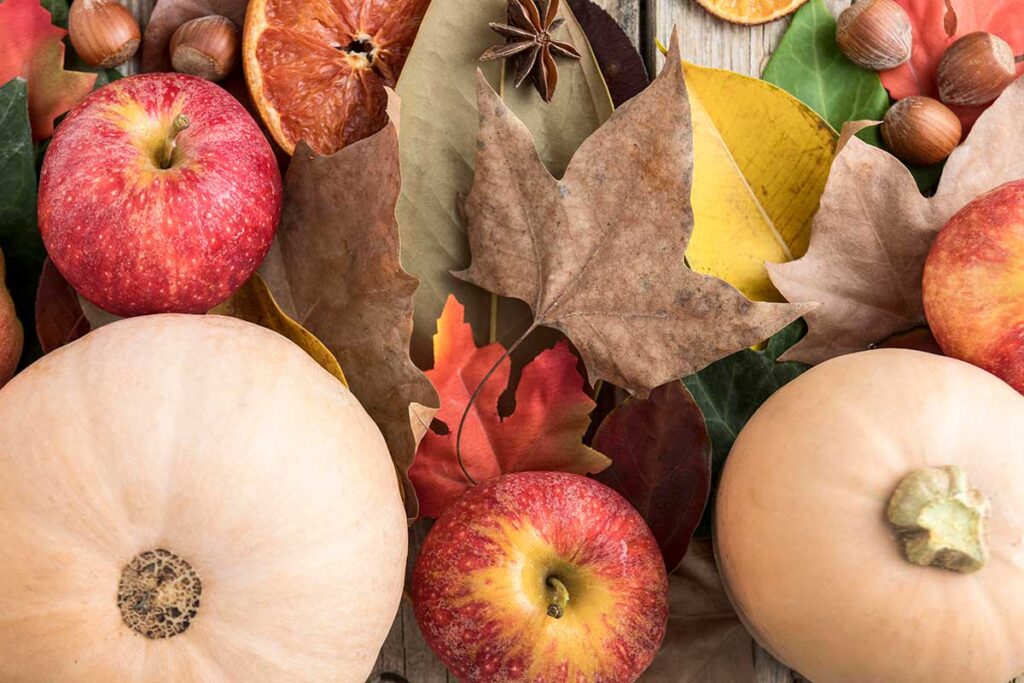 Top view of apple with squash and autumn leaves.