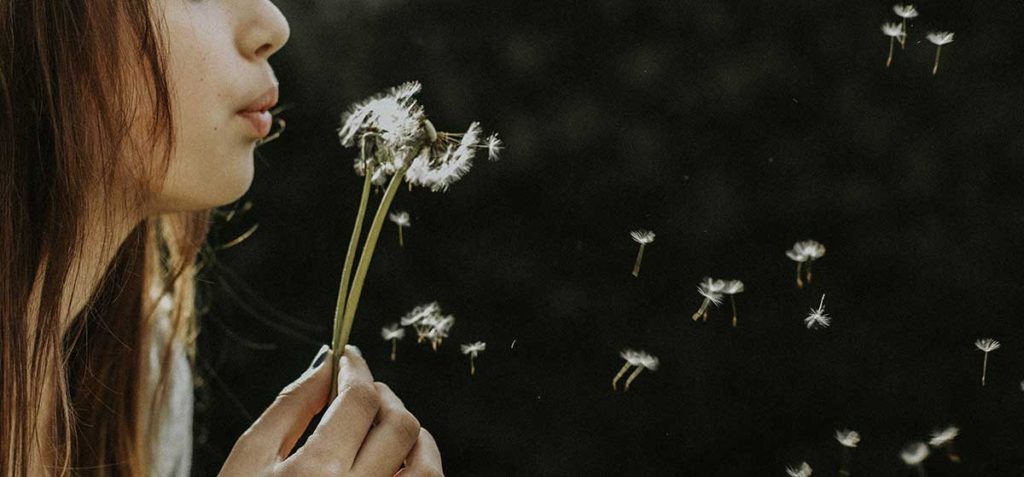 Young woman blowing on dandelions.