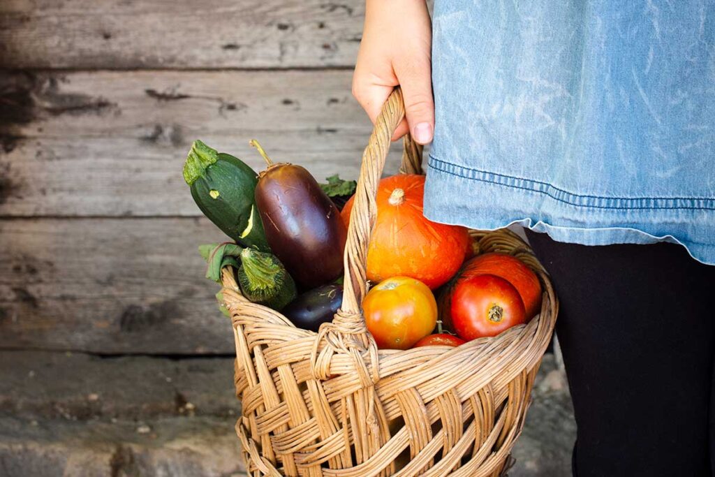 Woman hand holding basket full with vegetables.