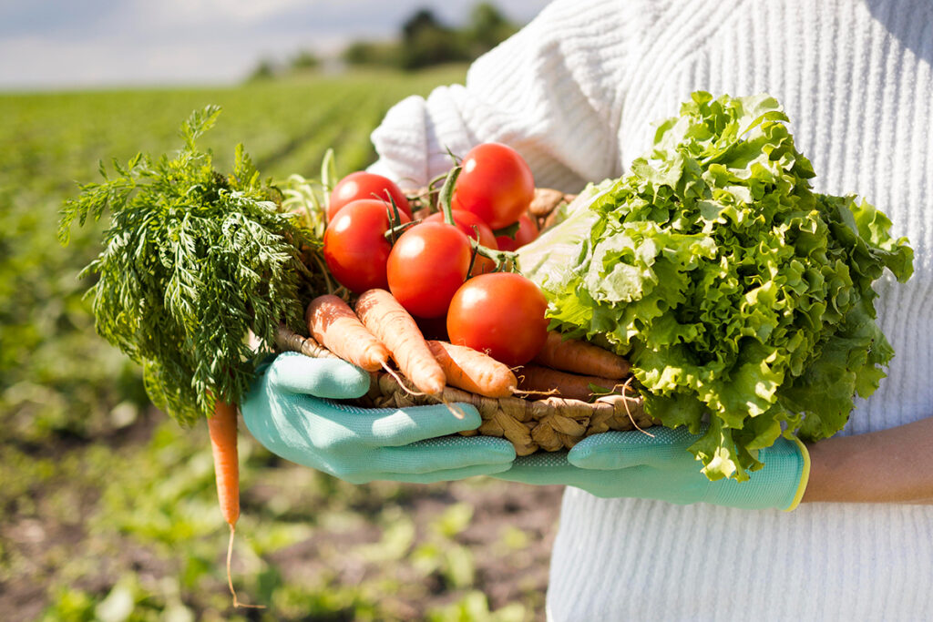 Woman in farmers field holding basket full of different vegetables.