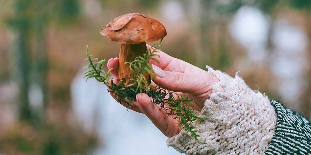 Woman holding mushroom outdoors.