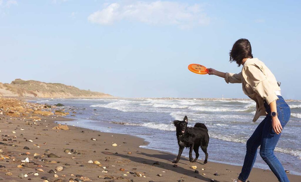 Woman throwing a frisbee to dog.