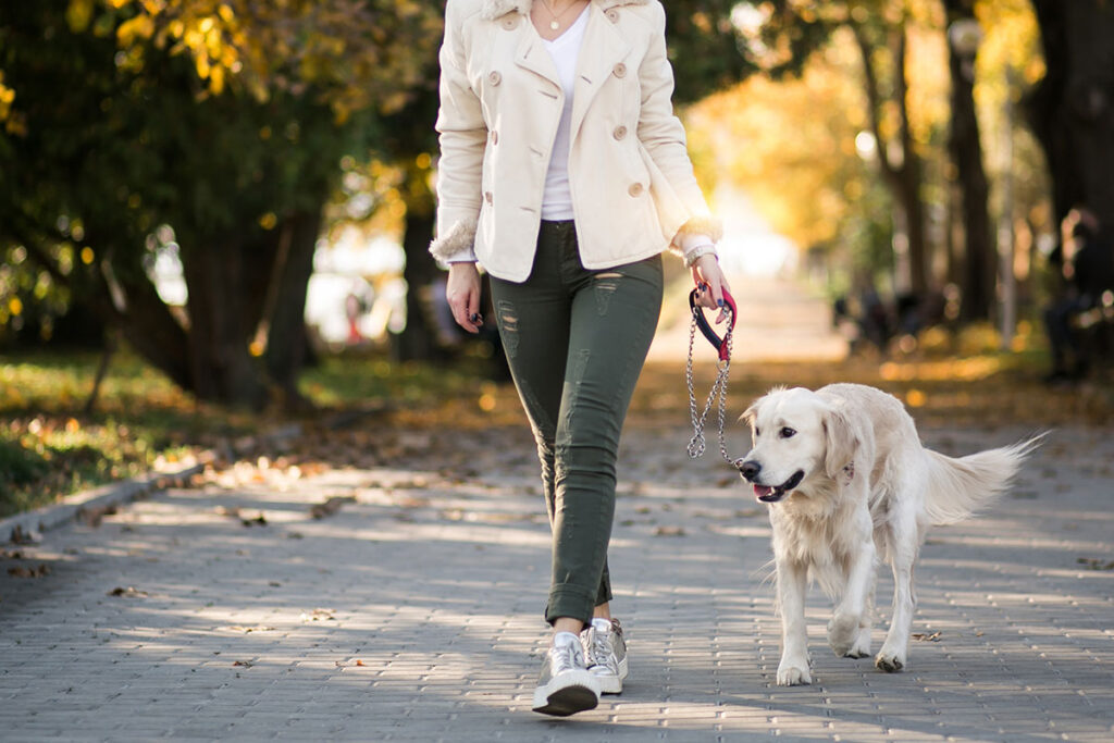 Woman in white jacket walking with her larger dog in the park.