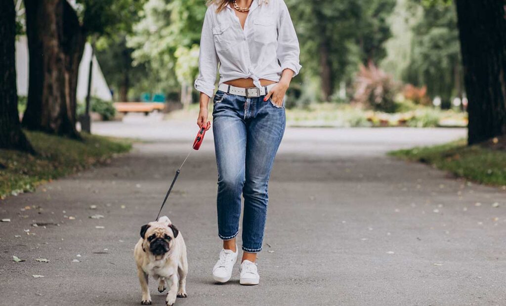 Young woman in park walking her pug dog.